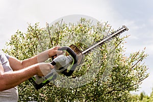 A gardener trimming trees with hedge trimmer