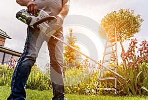 A gardener trimming trees with hedge trimmer