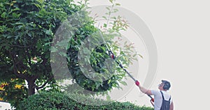 Gardener in uniform trimming tree with electric machine