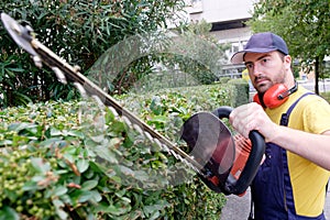 Gardener using an hedge clipper