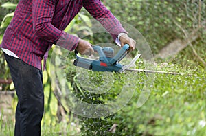 Gardener using hedge trimmer machine to bush trimming tree