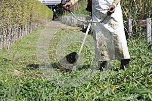 The gardener is using the lawn mower to shorten the grass. Gardener use lawn mower for clear backyard.