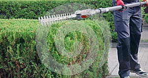 Gardener using petrol hedge cutter for pruning bushes