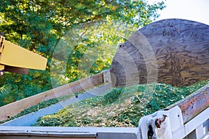 Gardener using shredder or wood chipper for shredding tree