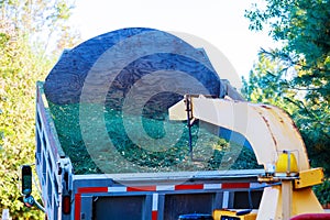 Gardener using shredder or wood chipper for shredding tree