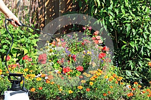 A Gardener Using A Sprayer On Flowers