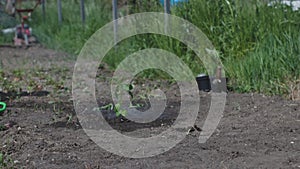 Gardener with watering can carefully watering plants in garden. Watering plants they contribute to vibrancy and health