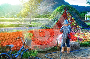 Gardener watering flower in the garden in the morning