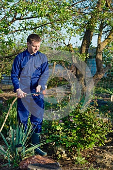 Gardener watering flowers in the garden