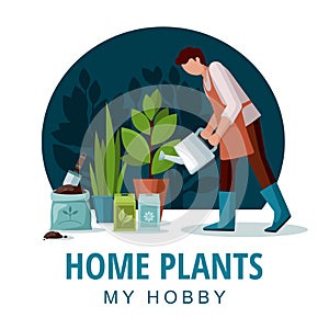 Gardener watering flowers. House plants with green leaves in pots. Hobby