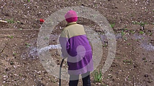 A gardener watering a garden with water from a hose