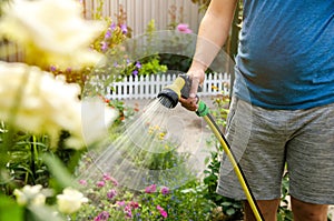 A gardener with a watering hose and a sprayer water the flowers in the garden on a summer sunny day. Sprinkler hose for irrigation