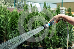 Gardener watering plants using hose in a garden shop