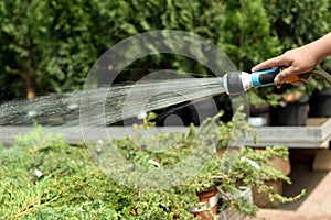 Gardener watering plants using hose in a garden shop