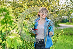 Gardener woman in gloves with pruner cuts off dry branches on blackcurrant bush