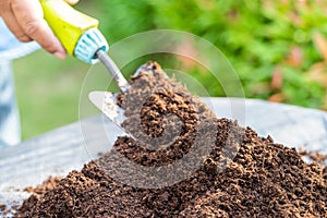 Gardener woman holding peat moss organic matter improve soil for agriculture organic plant growing, ecology concept