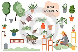 gardener.Woman planting gardens flowers, agriculture gardener hobby and garden job