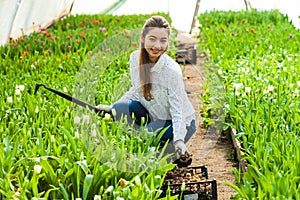 Gardener woman planting tulips