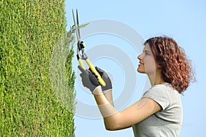 Gardener woman pruning a cypress with pruning shears photo