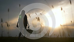 Gardener woman pushing wheelbarrow with vegetables at sunset. Silhouette of a young farmer girl in the meadow. The