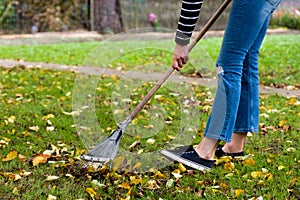 Gardener woman raking fallen leaves in backyard. Woman standing with rake. Autumn seasonal work in garden