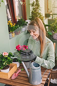 Gardener Woman Taking Care of Geranium Flowers