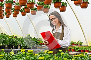 Gardener woman working on flowers in greenhouse and makes notes. Entrepreneur working on flowers in greenhouse.