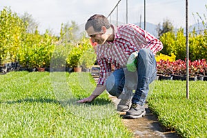 Gardener at Work