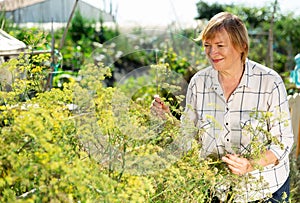 Gardener working in garden