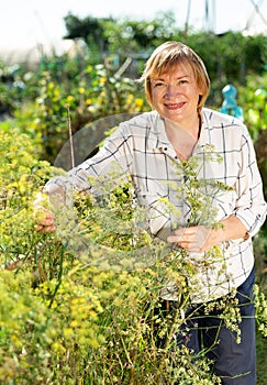 Gardener working in garden