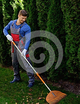 Gardener working in a garden