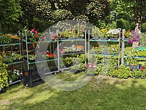 gardener working outdoors in nature