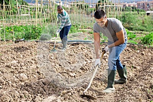 Gardener working soil with hoe at smallholding