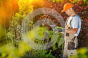 Gardener Working on Tablet