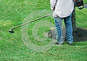 Gardener working on trim the lawn