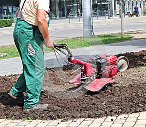 Gardener works with a cultivator