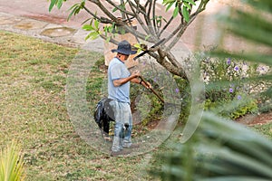 The gardener works in the garden, Varadero, Matanzas, Cuba. Copy space for text.