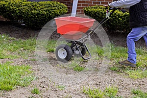 The gardener works with seeding and fertilizing the lawn sows fresh grass