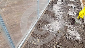 A gardener in yellow rubber gloves prepares the soil for planting tomato seedlings in a greenhouse, mixing the soil with