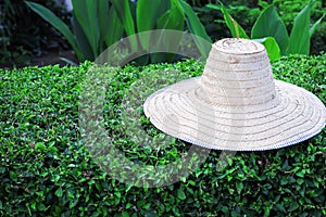 Gardeners bamboo hat on  hokkien tea tree fence in nature garden