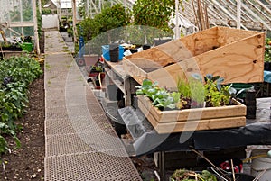 Gardeners greenhouse workstation