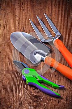 Gardeners hand tools - fork trowel secateur on wooden boards