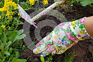 Gardeners hands planting flowers at back yard