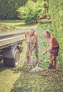 Gardeners are removing the leaves with rakes in the garden