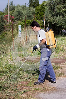 Gardening