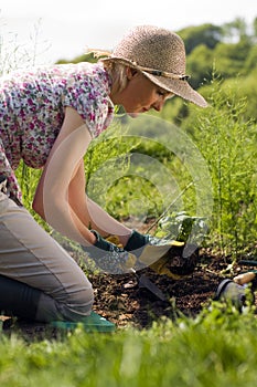 Gardening