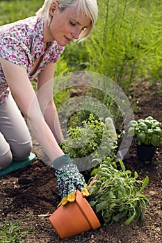 Gardening