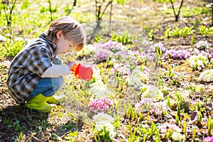 Gardening activity with little kid. I like spending time on farm. Little toddler boy gardening and having fun in spring