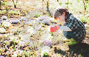 Gardening activity with little kid. I like spending time on farm. Little toddler boy gardening and having fun in spring