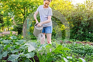 Gardening agriculture concept. Woman gardener farm worker holding watering can and watering irrigating plant. Girl
